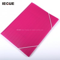 High Quality Plastic Stationery A4/5/6 PP Document Box File Folder Envelope File